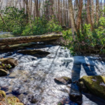 Guided Bear Pen Branch Falls Hike